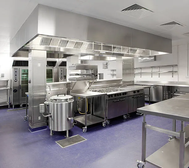 Dedetização cozinha industrial